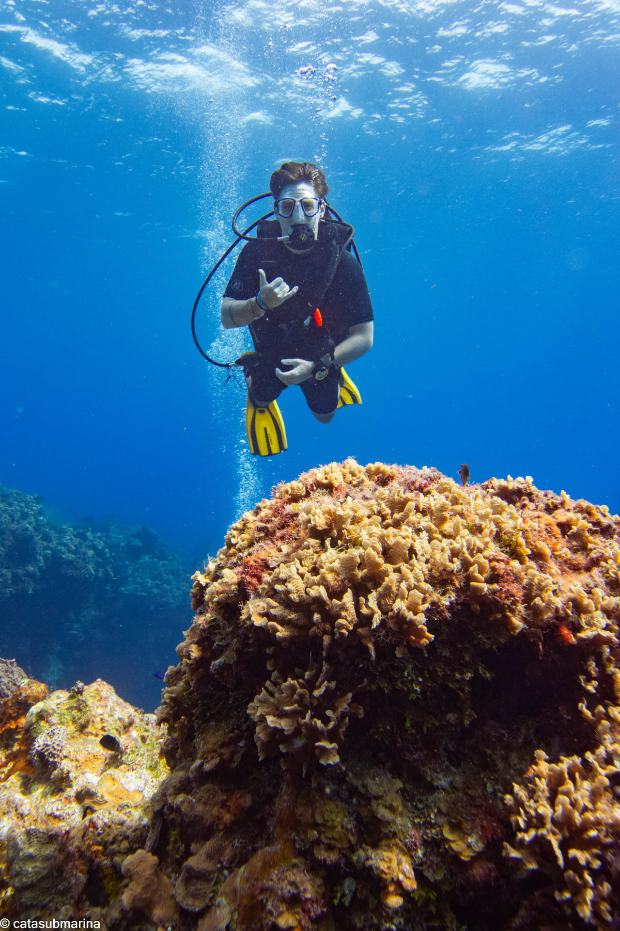 Scuba diving over a coral reef